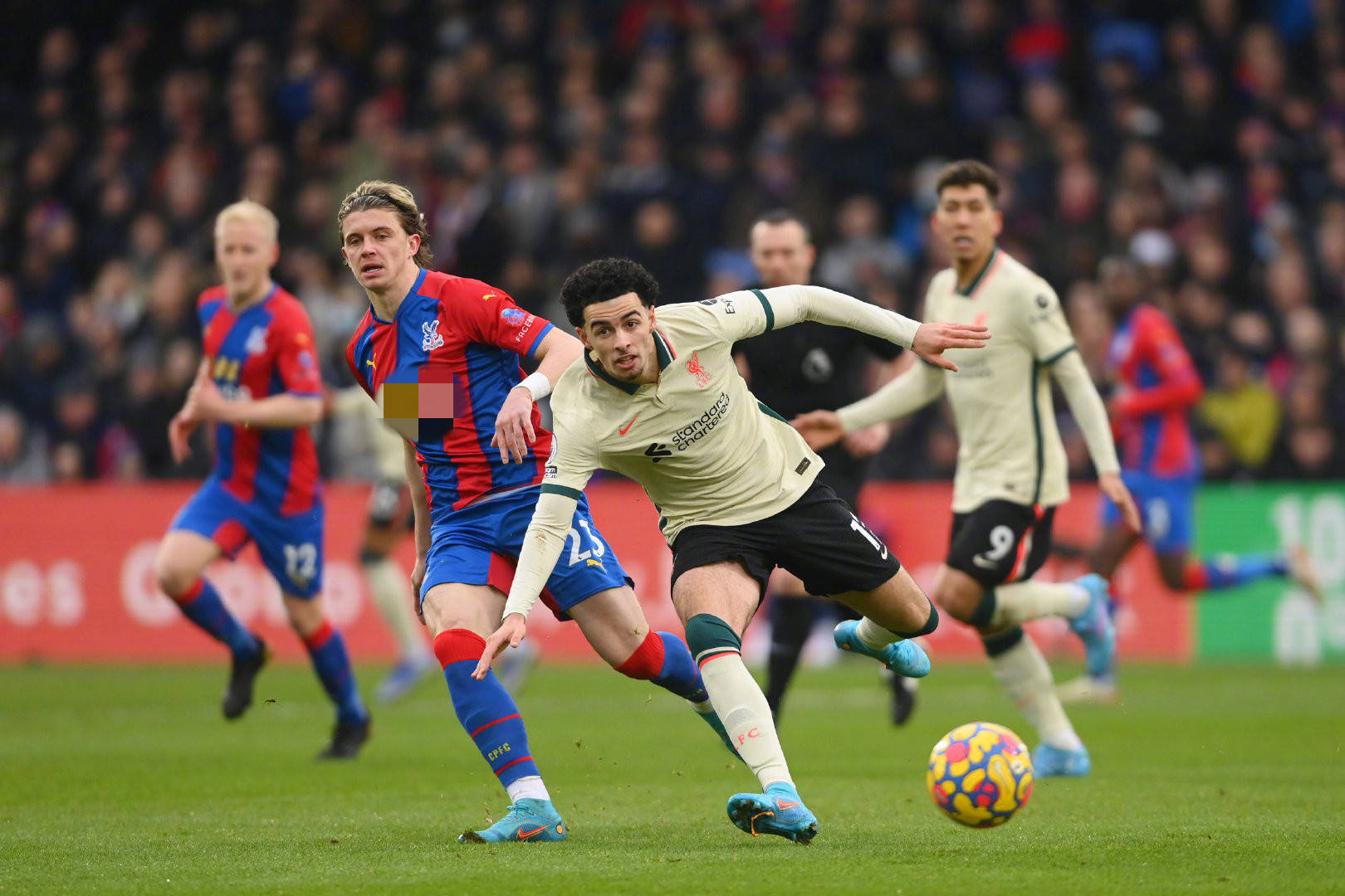 為其量身設 為其量身設